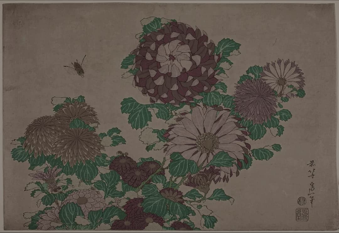 Vintage Botanical Painting