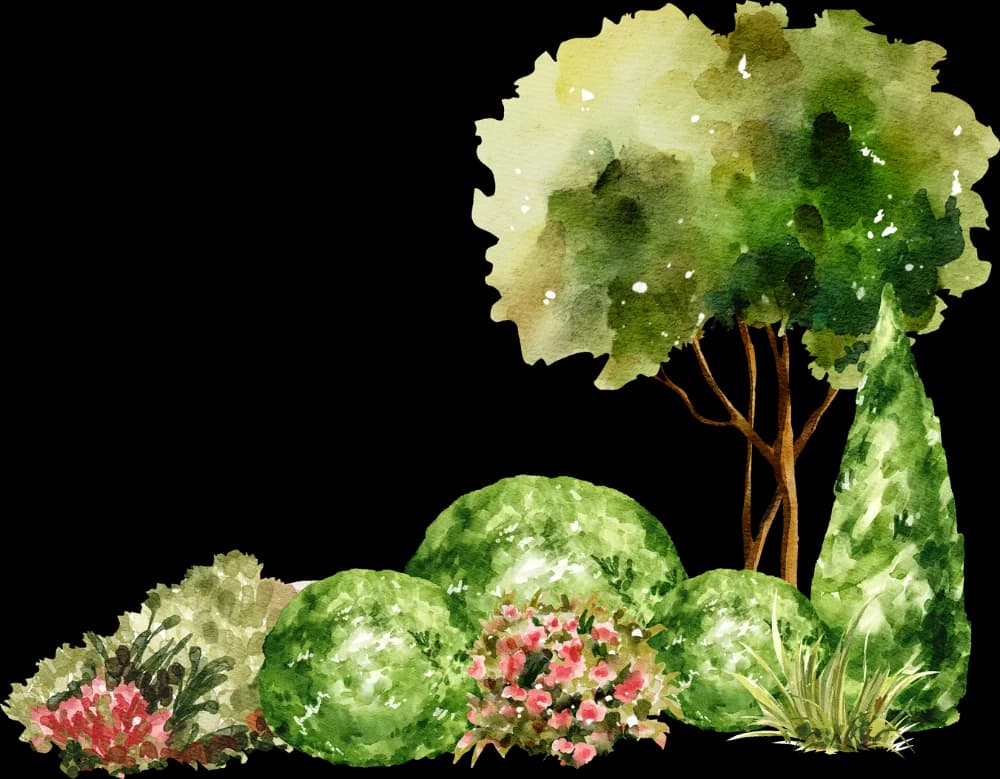 garden