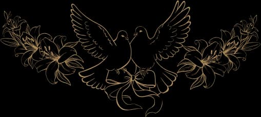 Doves