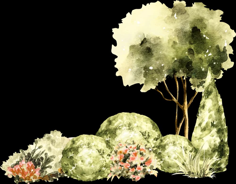 garden