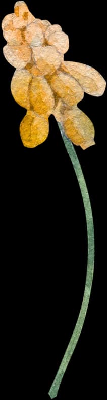 flower right