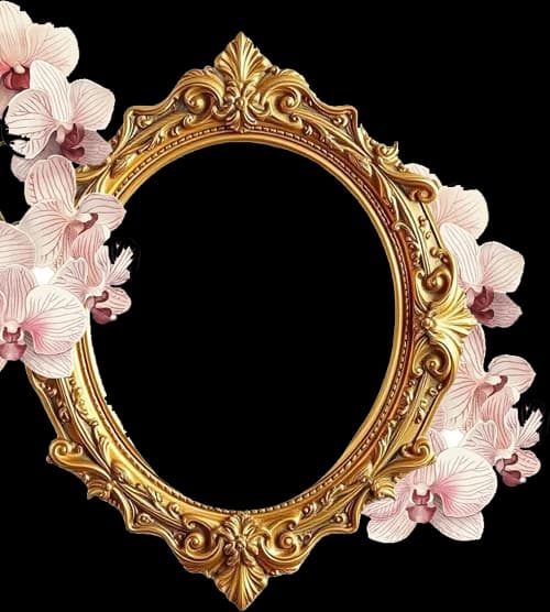 Frame