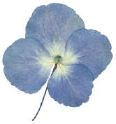 Flower ornament